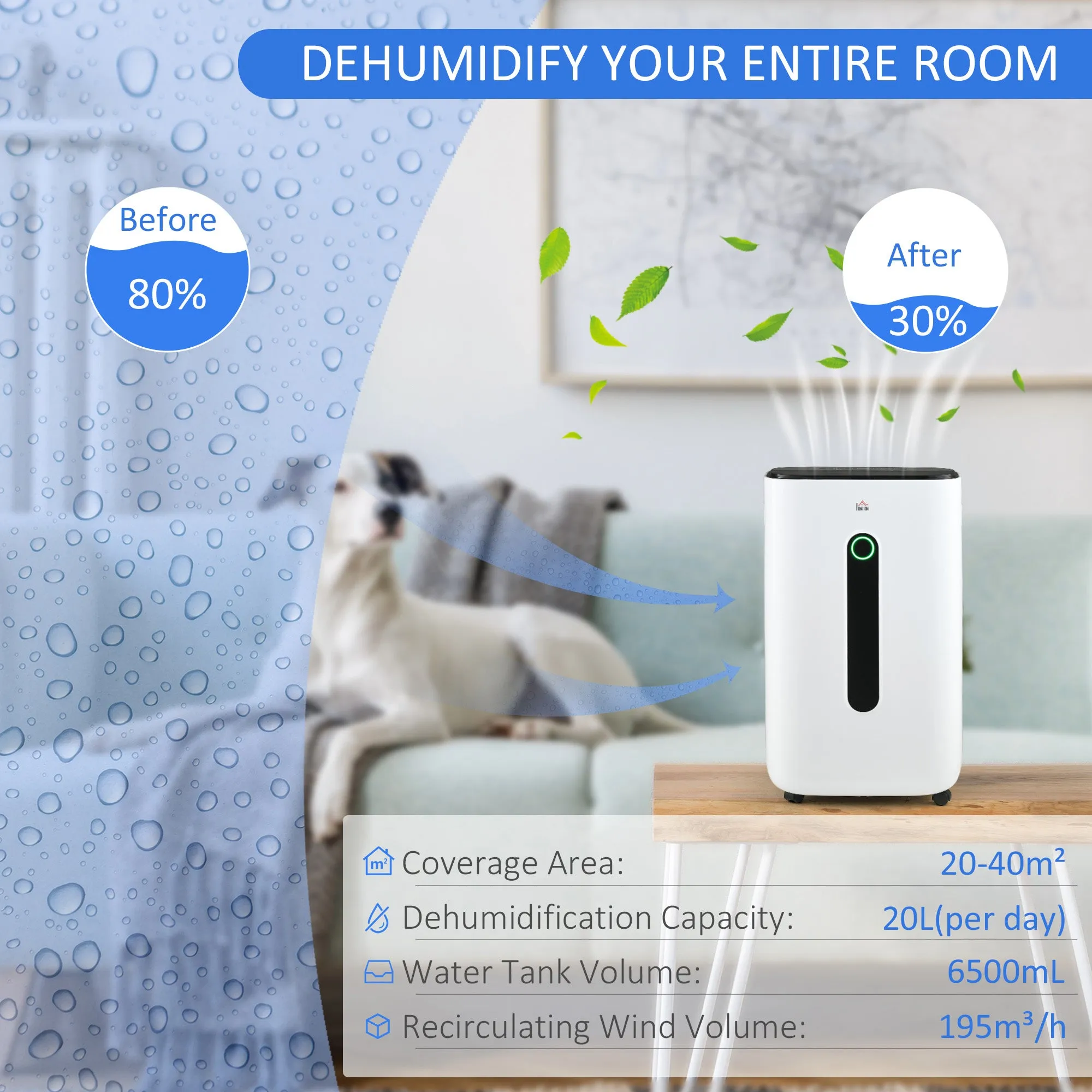 20L/Day Quiet Air Dehumidifier with Purifier, Timer, for Home Laundry