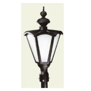 50089-Large Gate Light