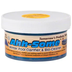 Ahh-Some Winter Pool Clarifier and Bio-Cleaner