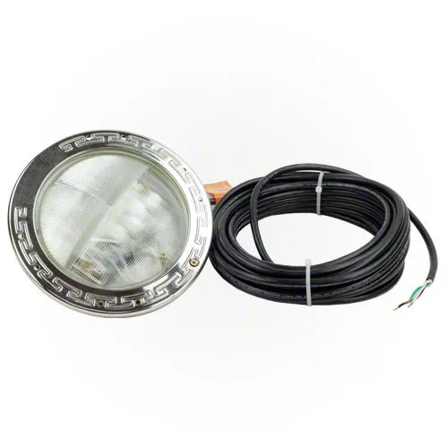 Pentair IntelliBrite White LED Pool Light 601107 - 100 Foot Cord - 12 Volt