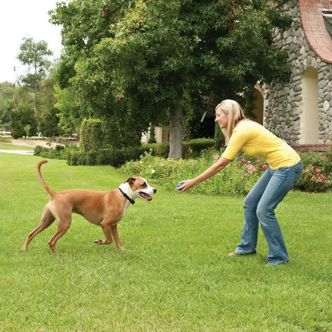 STAY & PLAY® Wireless Fence Add-A-Dog® Extra Receiver Collar